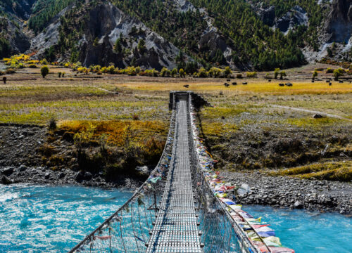 Annapurna Circuit Trek