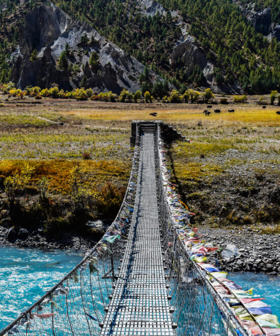 Annapurna Circuit Trek