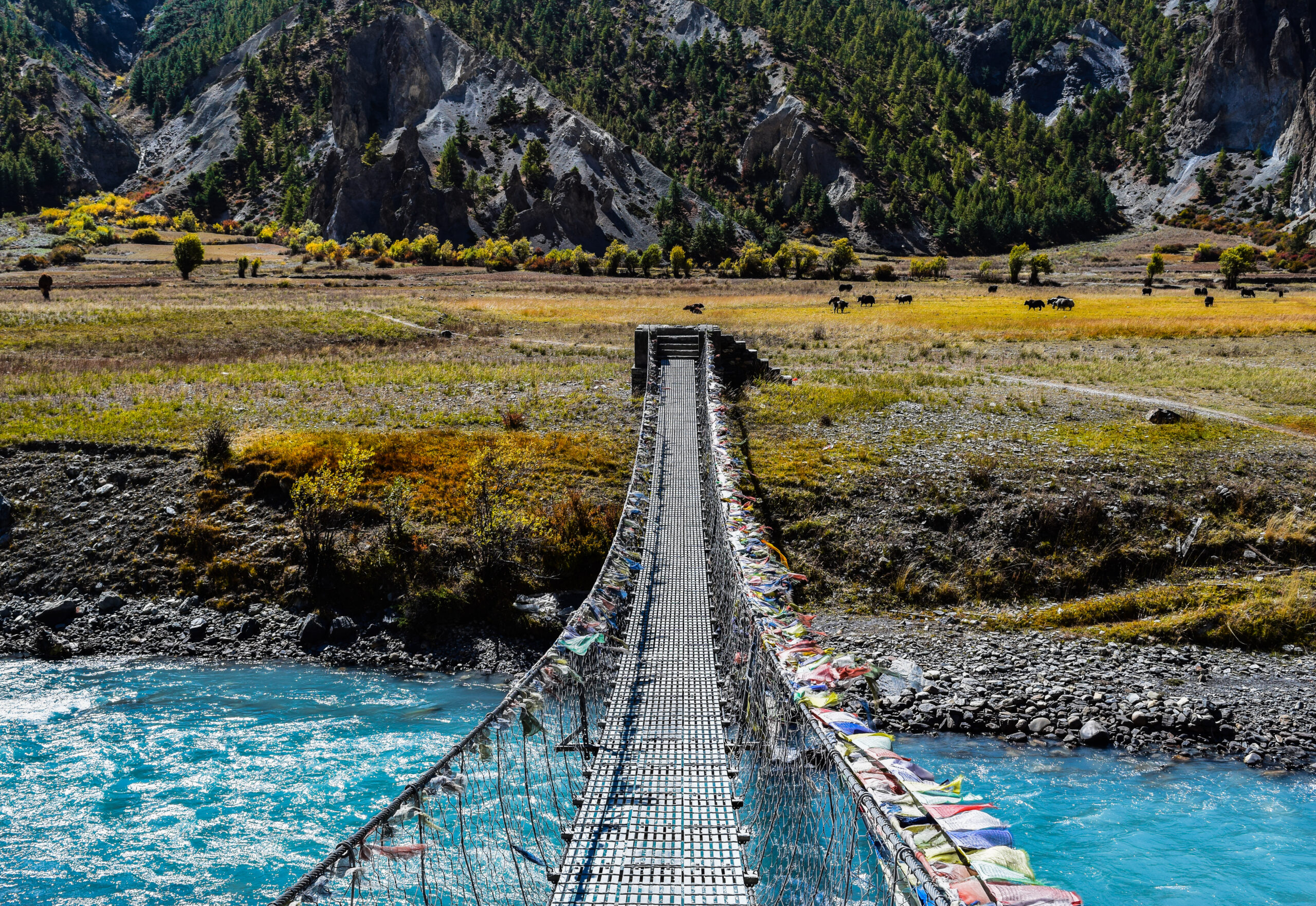 Annapurna Circuit Trek