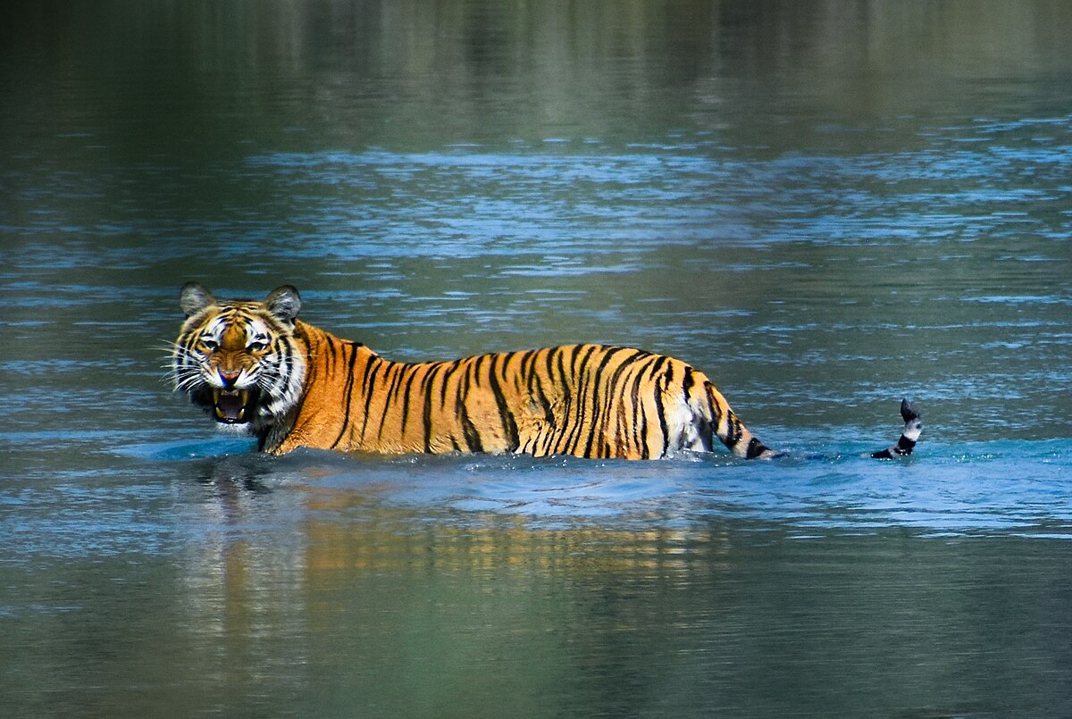 Bardiya National Park