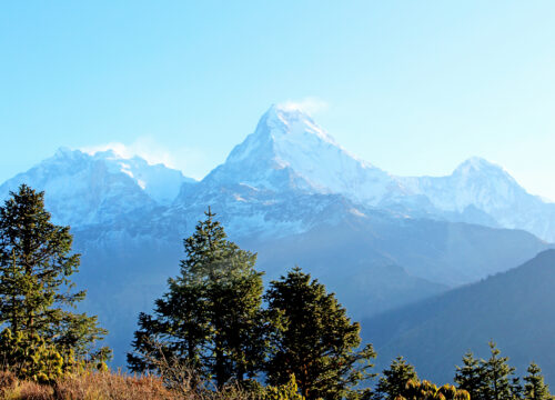 Ghorepani Poon Hill Trek
