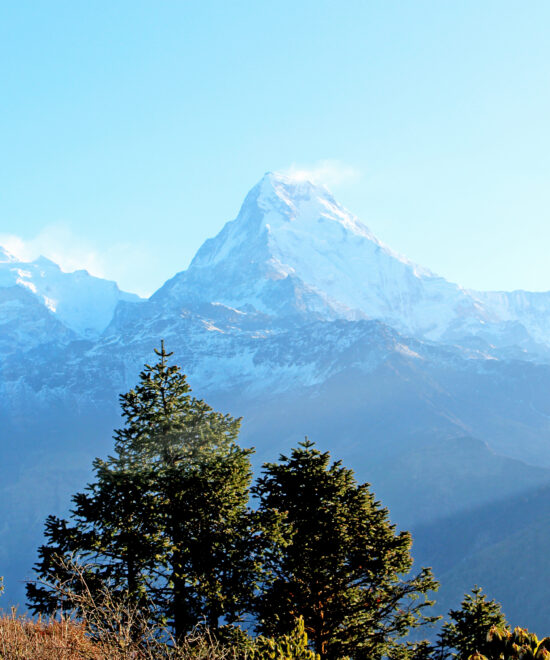 Ghorepani Poon Hill Trek