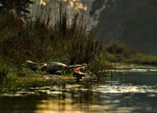Chitwan National Park