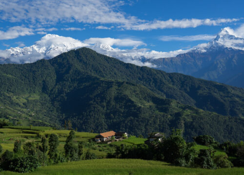 Family Holiday in Himalaya