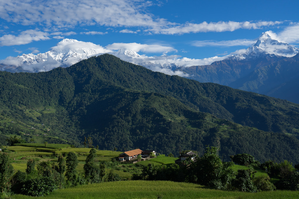 Family Holiday in Himalaya
