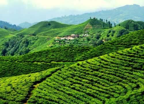 Kathmandu to Illam Motorcycle Tour